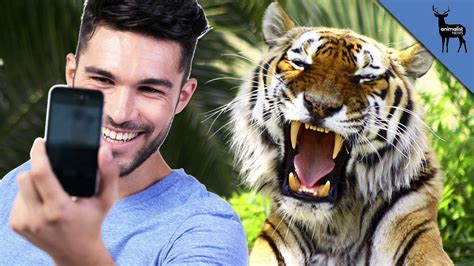 tinder tiger selfies banned youtube