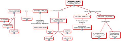 Cosa Sono I Carboidrati Biologia - MAPPE SCIENZE dell’ALIMENTAZIONE: ed. alimentare e nutrizione