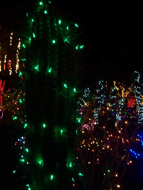 Dreamstime is the world`s largest stock photography community. Christmas, Vegas-Style at Ethel M's Chocolate Factory ...
