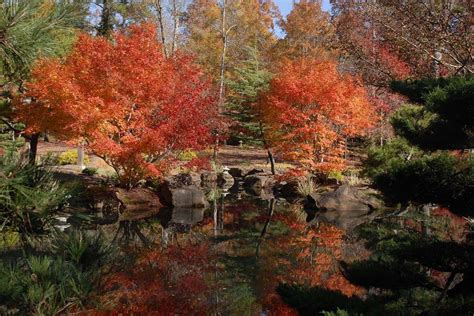 Gibbsgardens Rated 1 Best Fall Color Peak Color Now Nov17 Over