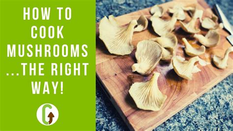 How To Cook Mushrooms The Right Way Grocycle Youtube