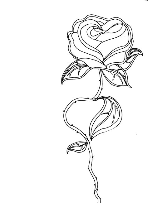 Fancy Flower Drawing At Explore Collection Of