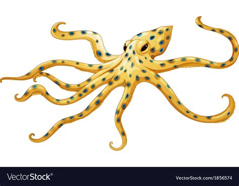 Blue Ringed Octopus Royalty Free Vector Image Vectorstock