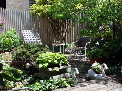 Maybe you would like to learn more about one of these? Dr. Dan's Garden Tips: February 2012