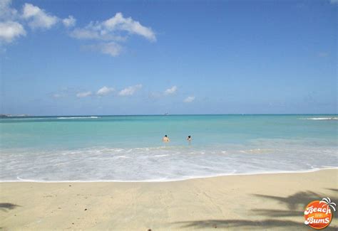 Beach Thursday Pic Of The Week Unknown Antigua Beach Bar Bums