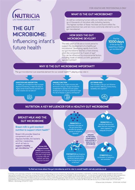 The Gut Microbiome Influencing Infants Future Health Infographic