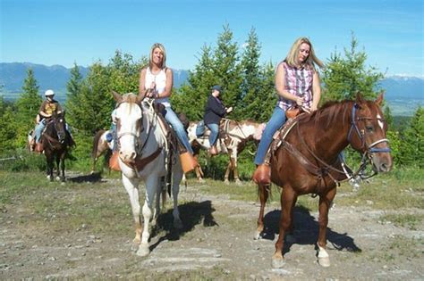 Artemis Acres Paint Horse Ranch Kalispell отзывы и фото Tripadvisor