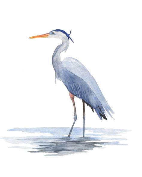Great Blue Heron Watercolor Print Blue Heron Print Coastal Etsy Artofit