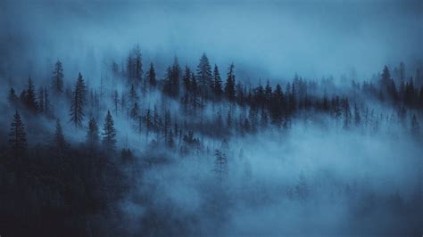 Check spelling or type a new query. Dark Aesthetic Wallpapers: 20+ Images - WallpaperBoat