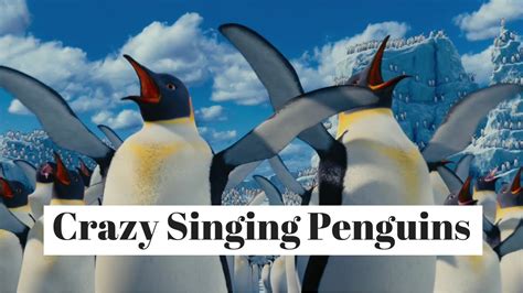Crazy Singing Penguins Youtube
