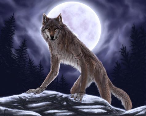 Another pretty cool image is the never cry werewolf dvd. Werewolf Art - ID: 87149 - Art Abyss