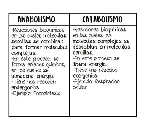 Cuadros Comparativos Entre Anabolismo Y Catabolismo Cuadro Comparativo Images