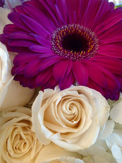 Dig deeper into the health topics you care about this is created by distilling the rose flower. Perfect colours - love the gerb for centrepieces, and the ...