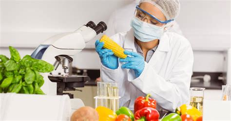 Cómo se aplica la nanotecnología en los alimentos SinEmbargo MX