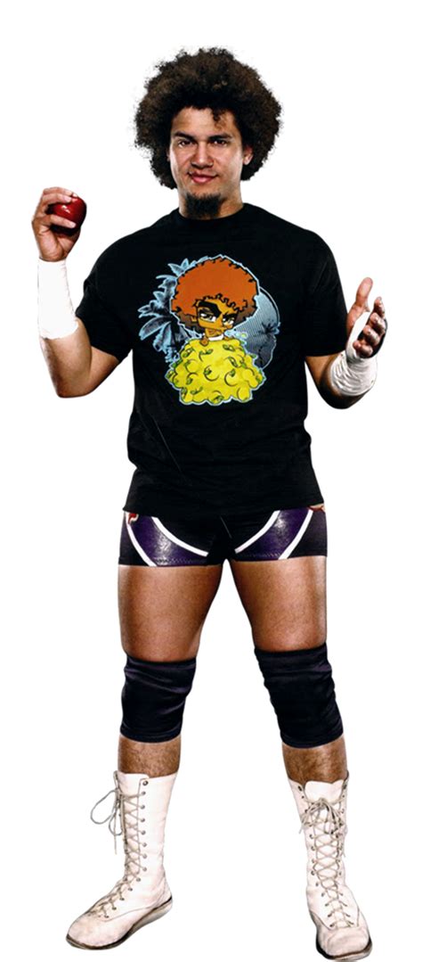 Carly Colón Pro Wrestling Fandom