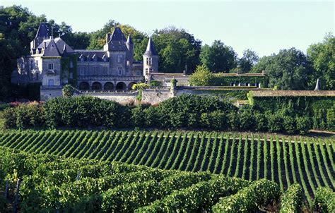 Vignoble Bordeau Chateau U Montellier