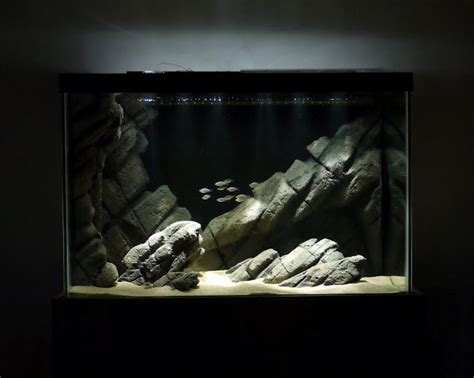 These movements in the background along with your fishes in the foreground will make your aquarium look livelier than ever before. DIY styrofoam background + rocks | Aquarium backgrounds, Cichlid aquarium, Aquarium