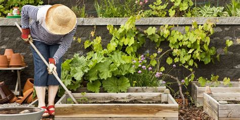 Loop a piece of garden twine around lanky tomato stems to keep the plants upright against trellises. 16 Best Gardening Tools for Summer - Essential Supplies ...
