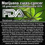 Marijuana Oil For Cancer Patients Images