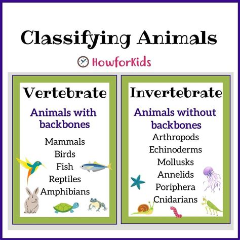 Classifying Animals | Vertebrates and invertebrates, Vertebrates, Earth