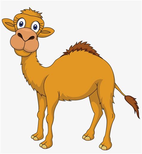 Browse through huge collection of funny jokes, pictures at funnyjunksite.com. Cute Camel Clipart Funny Pictures - Camel Cartoon - Free ...