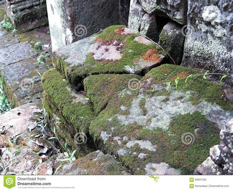 The Stones Of Ruins In The Moss Stock Photo Image Of Porch Temple