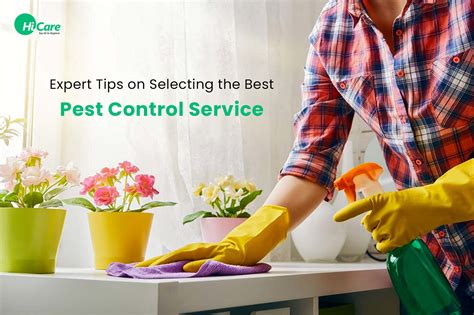 10 Best Tips To Select Best Pest Control Service Near You Hicare