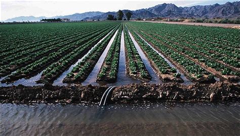 Surface Irrigation Methods Advantages And Disadvantages
