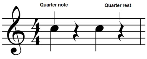 The pulse (or meter) is the driving beat in music that we march, feel, dance, clap and conduct to. The quarter note (crotchet)