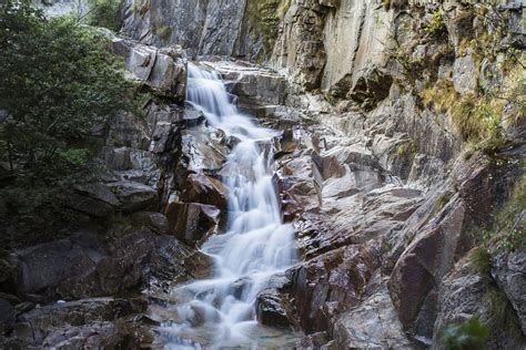 Mountain Stream Rock Gotthard Free Photo On Pixabay Pixabay