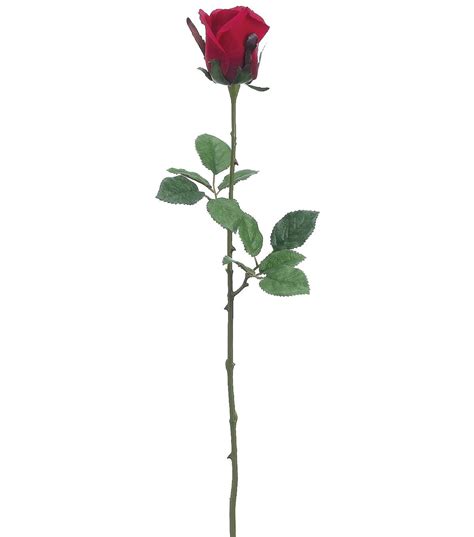 Red room tattoo, ⓜ ligovskiy prospekt, russia, saint petersburg, kolomenskaya ulitsa, 31: Bloom Room Pack of 12 24'' Medium Ecuador Rose Bud Stems ...