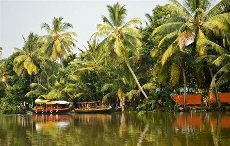 Best Time To Go To Kerala Backwaters Kerala Backwaters Kerala