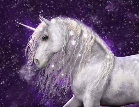 Magic World Of Unicorns A Beautiful White Unicorn With Silvery Mane