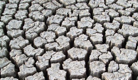 Impacts of climate change - David Suzuki Foundation