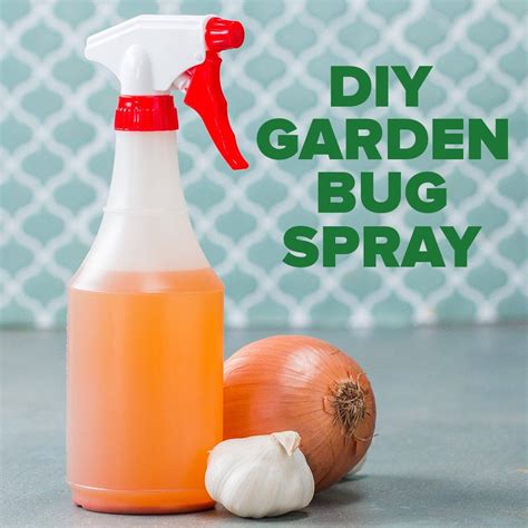 Goodful Diy Garden Bug Spray Facebook