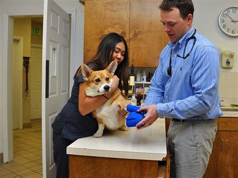 Wonderful staff and great doctor.s. Vets & Pet Boarding in Fort Walton Beach FL | Friendship ...