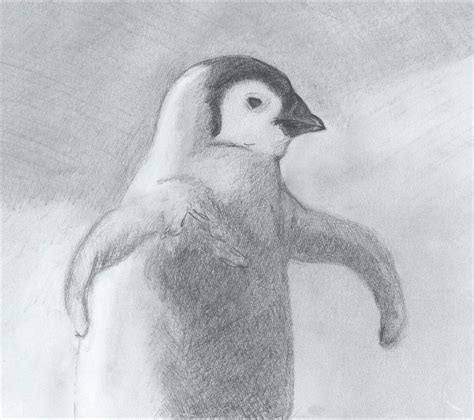 Pencil Drawing Young Penguin By Barbarian J On Deviantart