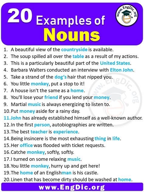 Examples Of Noun In Sentences Engdic