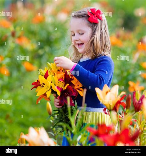 Cute Little Girl Picking Lily Flowers In Blooming Summer