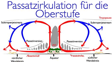 Der golfstrom befördert mehr wasser als alle flüsse der welt zusammen. Die Passatzirkulation als Oberstufenversion - YouTube