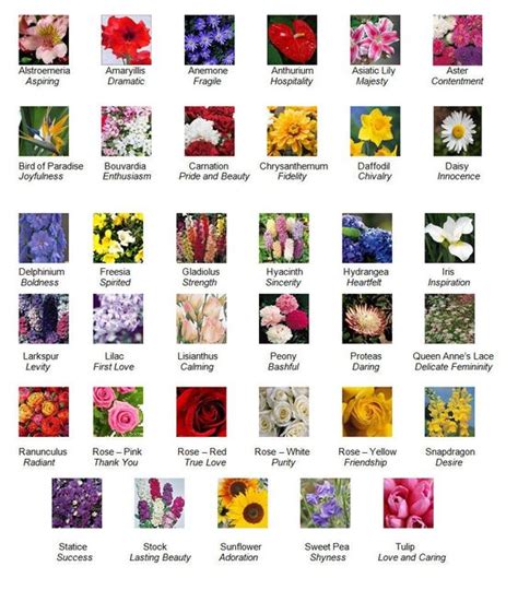 Here is the list of popular flower names with their meanings and symbols that you might be interested in. Flower Descriptions And Their Meanings | ... in ...