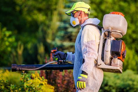 Pest Control Broomfield Co Exterminator Pest Removal Services