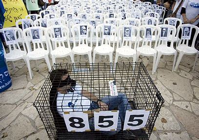 כל מוצרי צעצועים על שלט. קרבות, צעדות, מחאות. 1,941 יום בשבי - בתמונות