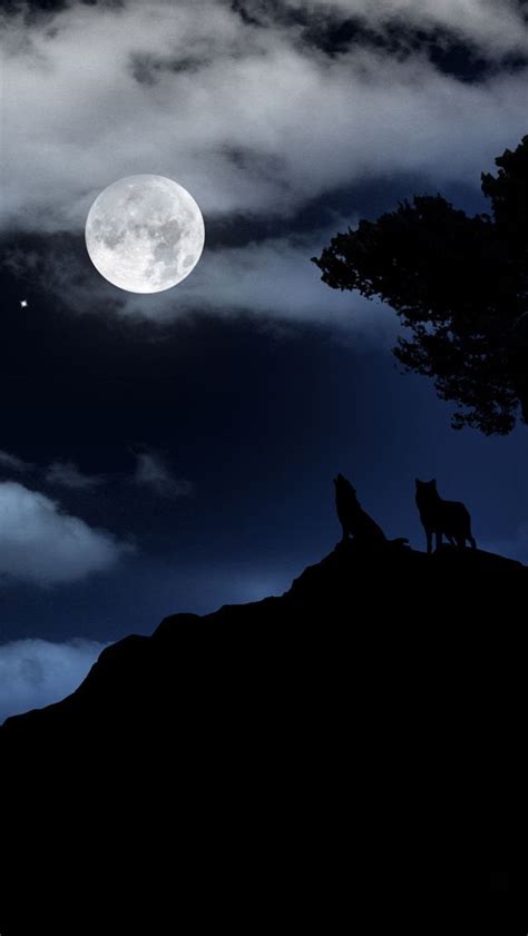 Howling At The Moon Wallpaper Moon Lovers Howl At The Moon