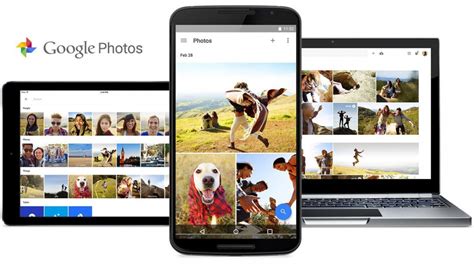 팁 구글포토 사진 한꺼번에 다운받는 법 (how to download google photos). gabiadesign | 내 멋대로 리뷰 - 구글 포토 활용팁