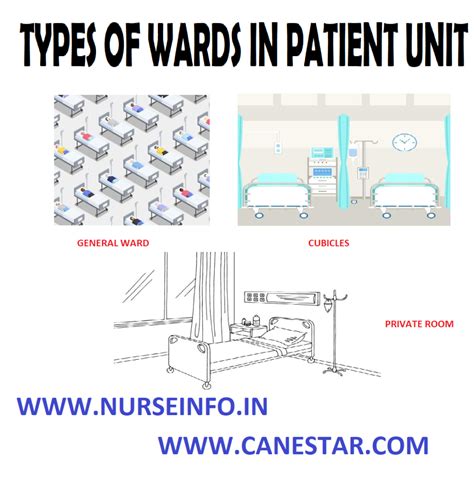 Types Of Wards In Patient Unit And Principles Of Cleanliness Nurse Info