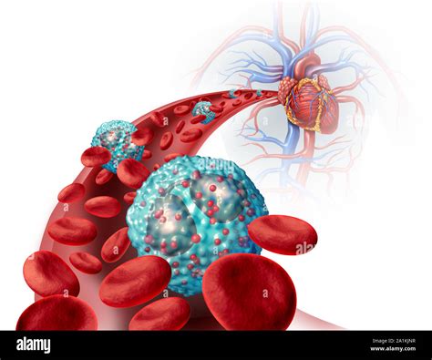 Eosinophil White Blood Cell Inside The Human Body Related To The Immune