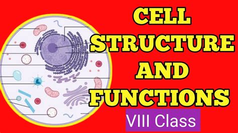 Cell Structure And Functions 8thbiologynewbooks Biologyclass8