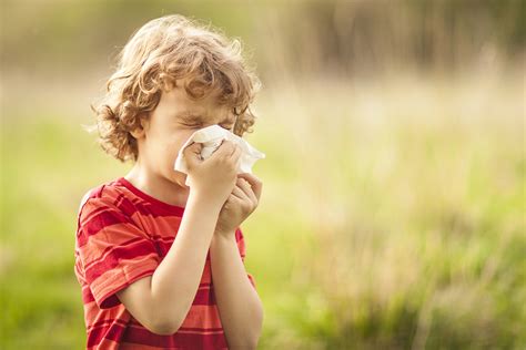 May Is Asthma And Allergy Awareness Month Western Health Advantage