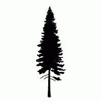 Download Pine Tree svg, Download Pine Tree svg for free 2019